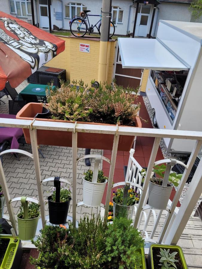 Františkovy Lázně Pension Relax U Komina מראה חיצוני תמונה